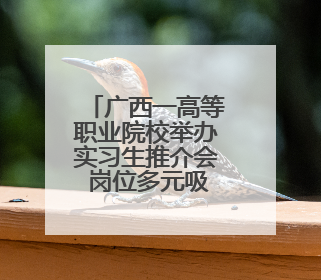 广西一高等职业院校举办实习生推介会 岗位多元吸引学生