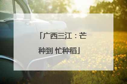 广西三江：芒种到 忙种稻
