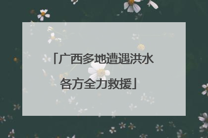 广西多地遭遇洪水 各方全力救援