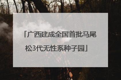 广西建成全国首批马尾松3代无性系种子园