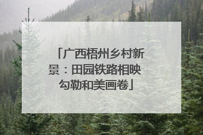 广西梧州乡村新景：田园铁路相映 勾勒和美画卷
