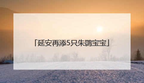 延安再添5只朱鹮宝宝