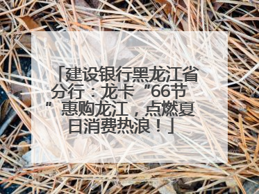 建设银行黑龙江省分行：龙卡“66节”惠购龙江，点燃夏日消费热浪！