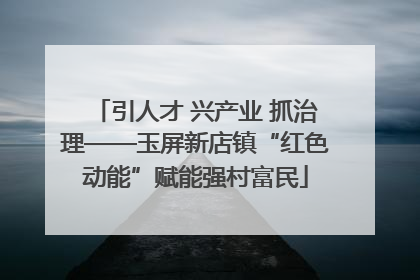 引人才 兴产业 抓治理——玉屏新店镇“红色动能”赋能强村富民