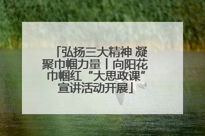 弘扬三大精神 凝聚巾帼力量丨向阳花巾帼红“大思政课”宣讲活动开展
