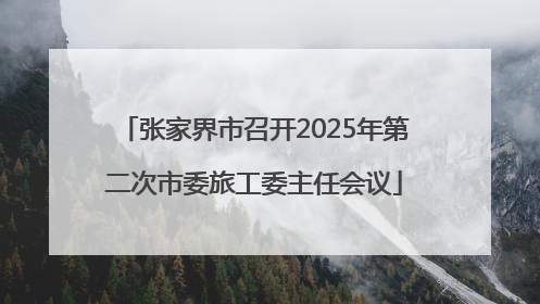 张家界市召开2025年第二次市委旅工委主任会议