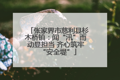 张家界市慈利县杉木桥镇：闻“汛”而动显担当 齐心筑牢“安全堤”