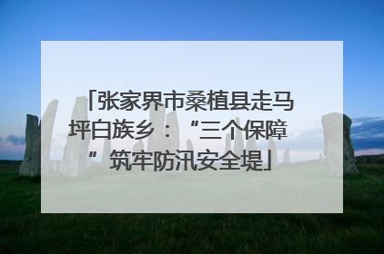 张家界市桑植县走马坪白族乡：“三个保障”筑牢防汛安全堤