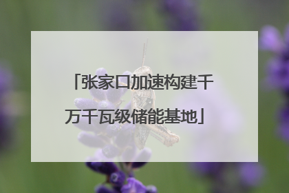 张家口加速构建千万千瓦级储能基地