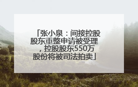 张小泉：间接控股股东重整申请被受理，控股股东550万股份将被司法拍卖