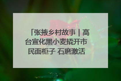 张掖乡村故事｜高台宣化黑小麦撬开市民面柜子 石磨激活村集体钱匣子
