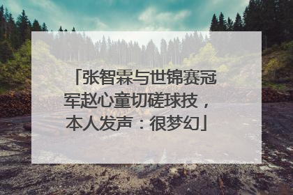 张智霖与世锦赛冠军赵心童切磋球技，本人发声：很梦幻