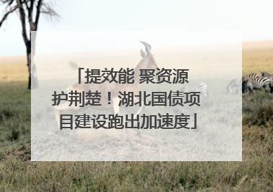 提效能 聚资源 护荆楚！湖北国债项目建设跑出加速度