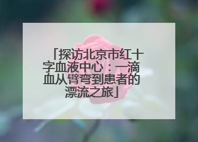 探访北京市红十字血液中心：一滴血从臂弯到患者的漂流之旅