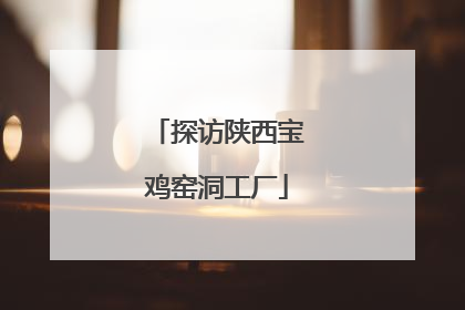 探访陕西宝鸡窑洞工厂