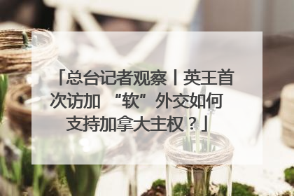 总台记者观察丨英王首次访加 “软”外交如何支持加拿大主权？