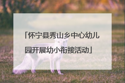 怀宁县秀山乡中心幼儿园开展幼小衔接活动