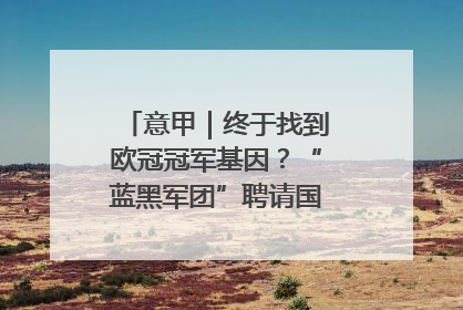 意甲｜终于找到欧冠冠军基因？“蓝黑军团”聘请国米名宿齐沃执教