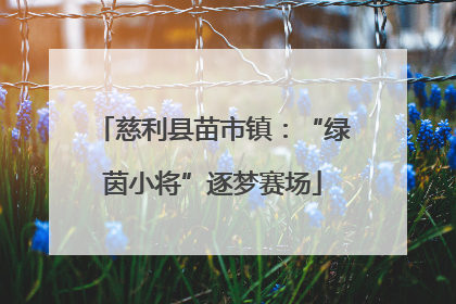 慈利县苗市镇：“绿茵小将”逐梦赛场