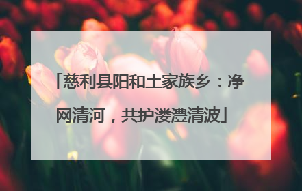 慈利县阳和土家族乡：净网清河，共护溇澧清波