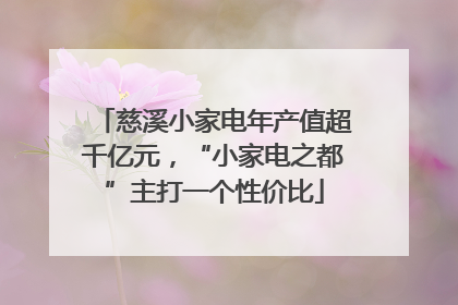慈溪小家电年产值超千亿元，“小家电之都”主打一个性价比
