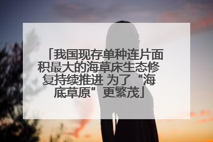 我国现存单种连片面积最大的海草床生态修复持续推进 为了“海底草原”更繁茂