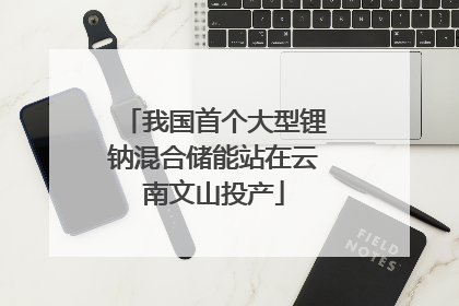 我国首个大型锂钠混合储能站在云南文山投产