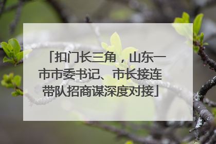 扣门长三角，山东一市市委书记、市长接连带队招商谋深度对接
