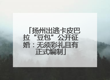 扬州出逃卡皮巴拉“豆包”公开征婚：无须彩礼且有正式编制