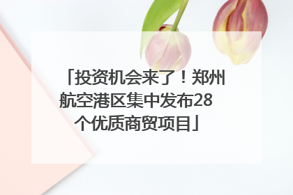 投资机会来了！郑州航空港区集中发布28个优质商贸项目