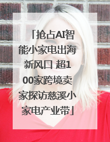 抢占AI智能小家电出海新风口 超100家跨境卖家探访慈溪小家电产业带