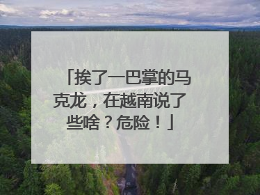 挨了一巴掌的马克龙，在越南说了些啥？危险！