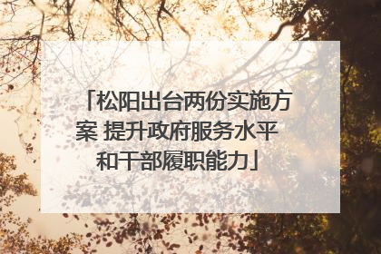 松阳出台两份实施方案 提升政府服务水平和干部履职能力