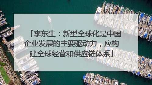 李东生：新型全球化是中国企业发展的主要驱动力，应构建全球经营和供应链体系