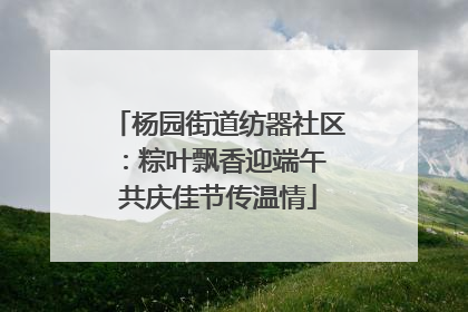 杨园街道纺器社区：粽叶飘香迎端午 共庆佳节传温情