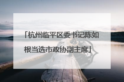 杭州临平区委书记陈如根当选市政协副主席