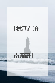 林武在济南调研