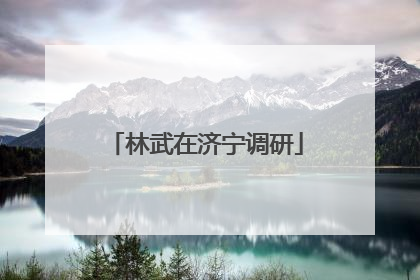 林武在济宁调研