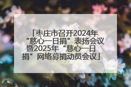 枣庄市召开2024年“慈心一日捐”表扬会议暨2025年“慈心一日捐”网络募捐动员会议