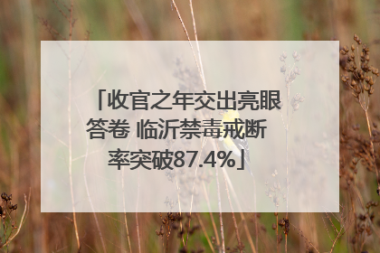 收官之年交出亮眼答卷 临沂禁毒戒断率突破87.4%