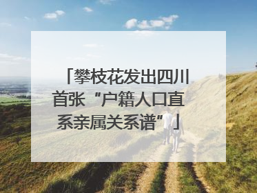 攀枝花发出四川首张“户籍人口直系亲属关系谱”