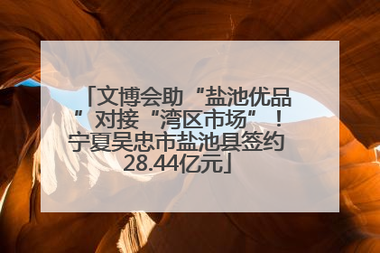 文博会助“盐池优品”对接“湾区市场”！宁夏吴忠市盐池县签约28.44亿元