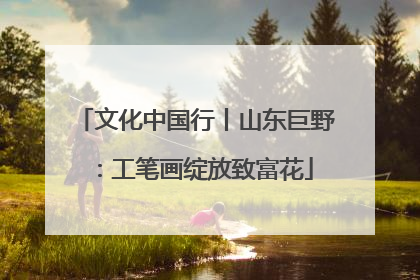 文化中国行丨山东巨野：工笔画绽放致富花