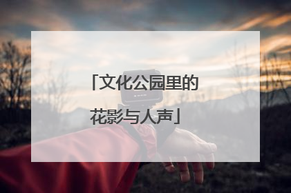 文化公园里的花影与人声