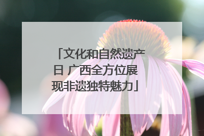文化和自然遗产日 广西全方位展现非遗独特魅力