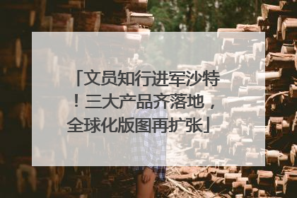 文员知行进军沙特！三大产品齐落地，全球化版图再扩张