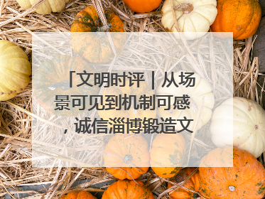 文明时评｜从场景可见到机制可感，诚信淄博锻造文明新内核