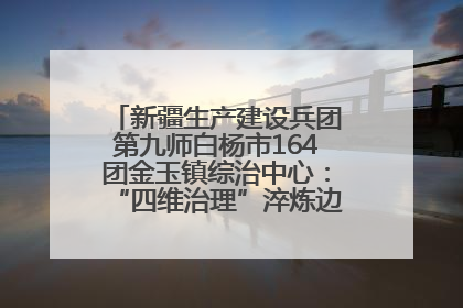 新疆生产建设兵团第九师白杨市164团金玉镇综治中心：“四维治理”淬炼边疆“枫桥样本”