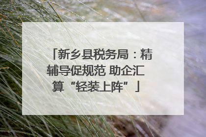 新乡县税务局：精辅导促规范 助企汇算“轻装上阵”