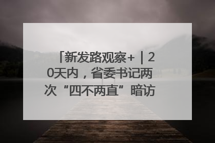 新发路观察+｜20天内，省委书记两次“四不两直”暗访，有何深意？
